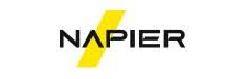Napier Technologies Limited - Top Regtech Solutions Companies Napier Technologies Limited