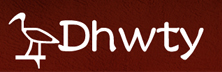 DHWTY: SAP Transformation Through Governance and Control