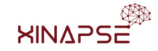 Xinapse: Inspire people by connecting AI to life