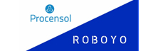 Procensol: Accelerating Business Processes with Bespoke Solutions
