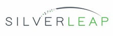 Silverleap: Pathway to Next-Gen Payments