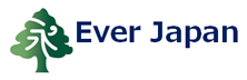Ever Japan: Scaling New Heights: How SystemEver is Revolutionizing ERP Solutions for SMEs